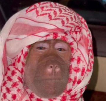 R𝐞𝐝𝐨𝐱🎀 tweet media