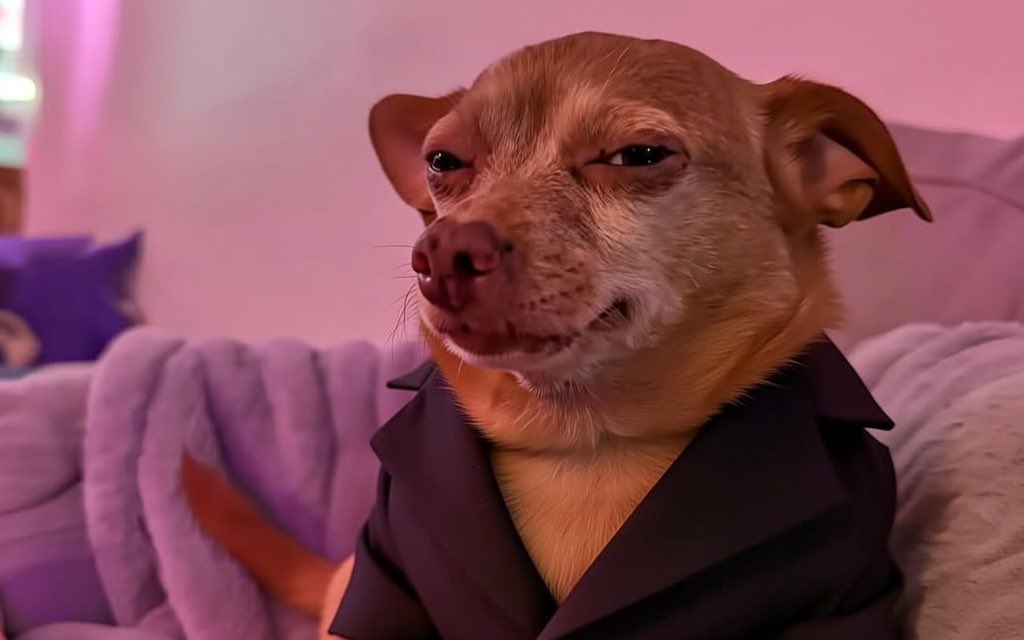 WAYNE CRYPT tweet media