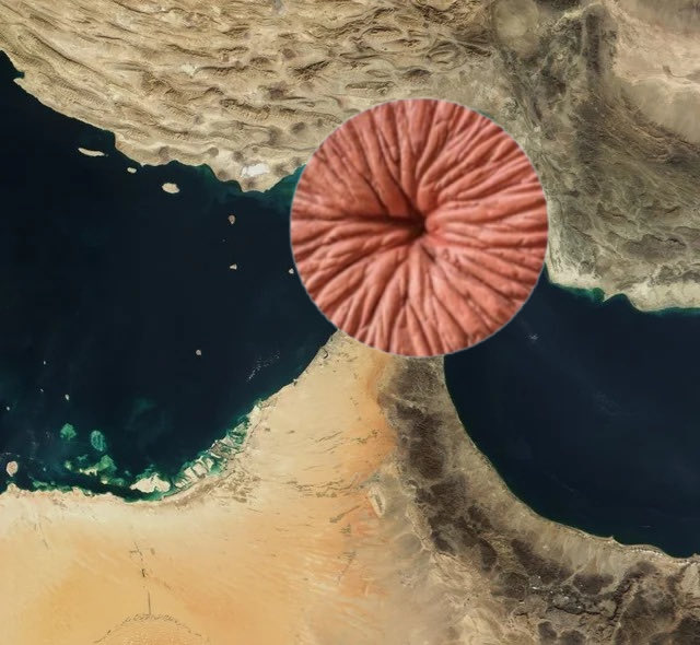 Cryptogenius.x tweet media