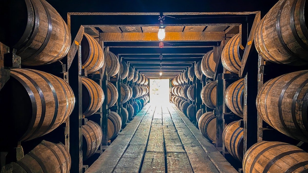 Steve 🇺🇸 tweet media