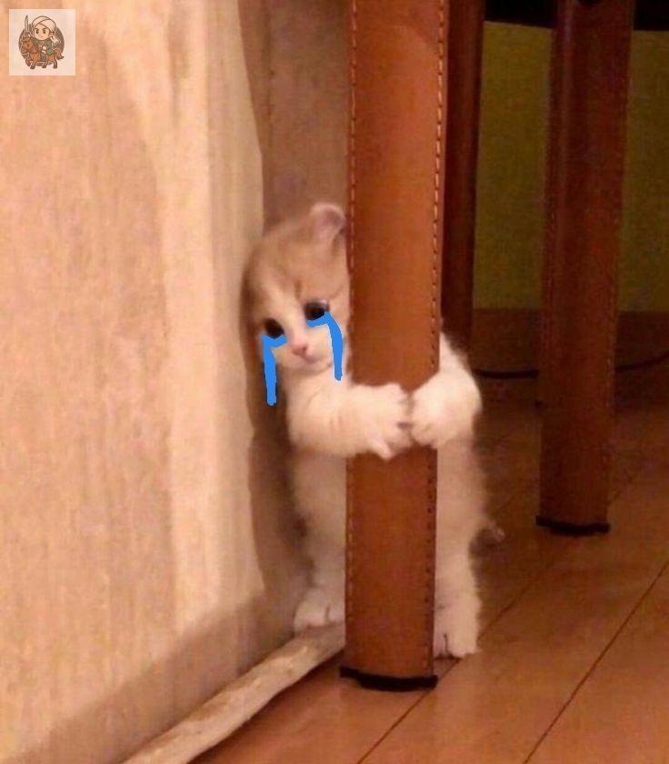 UNDIP MENFESS tweet media