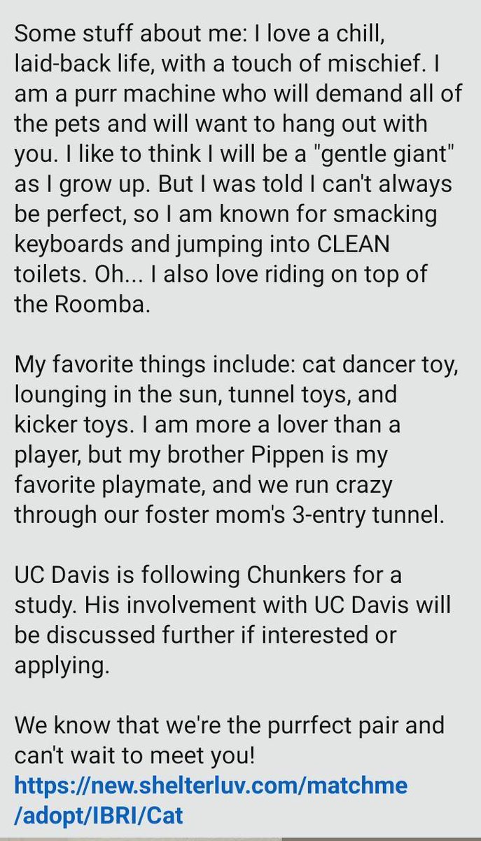 Itsie Bitsie Rescue tweet media