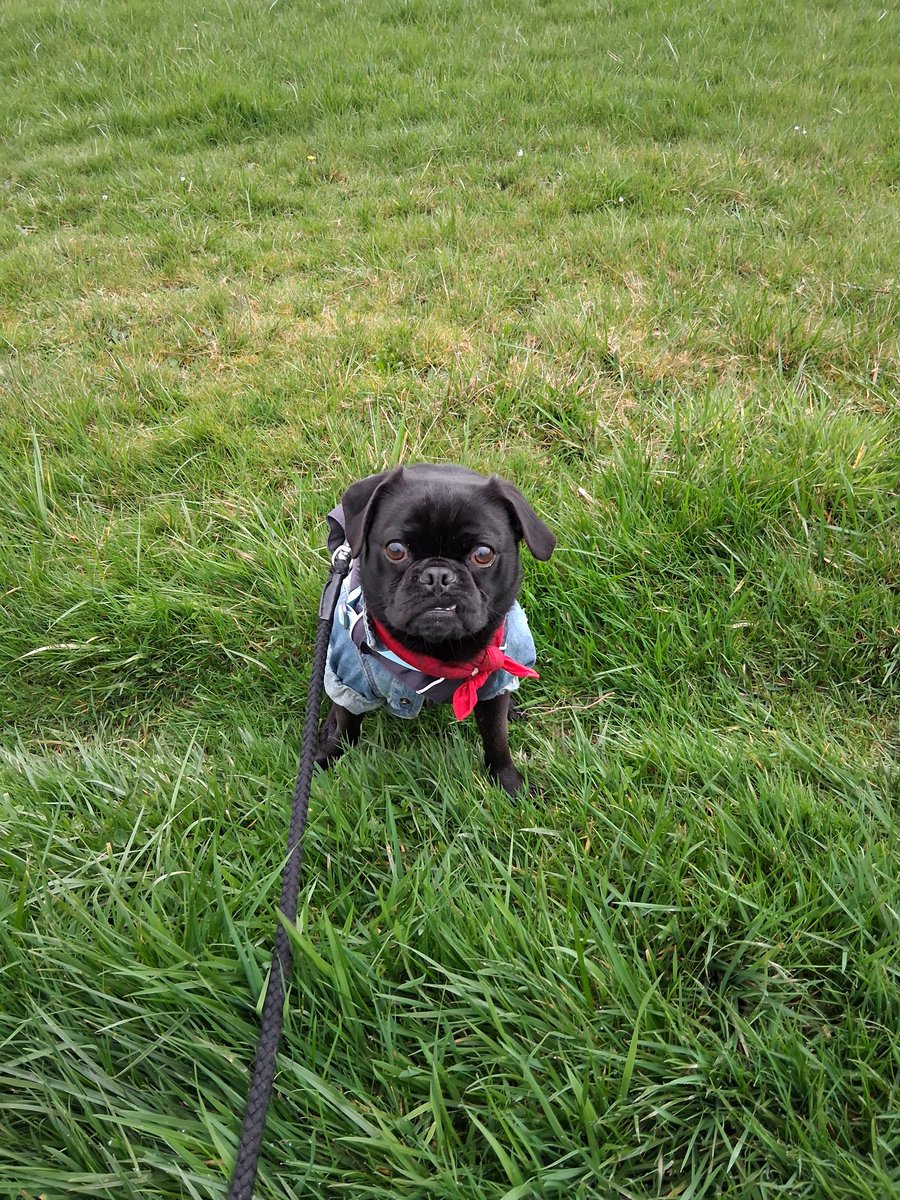 Corwin Tiers tweet media