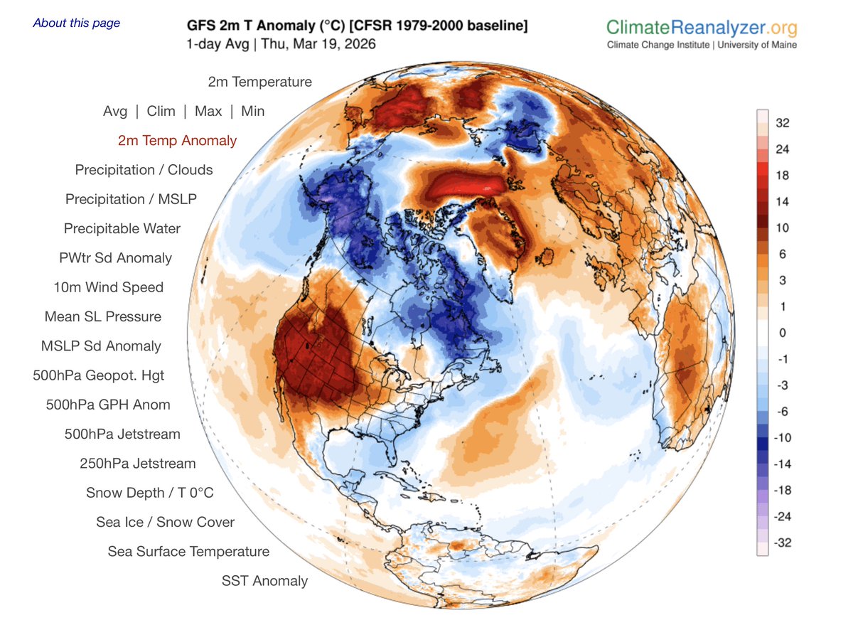 Thierry Goose tweet media