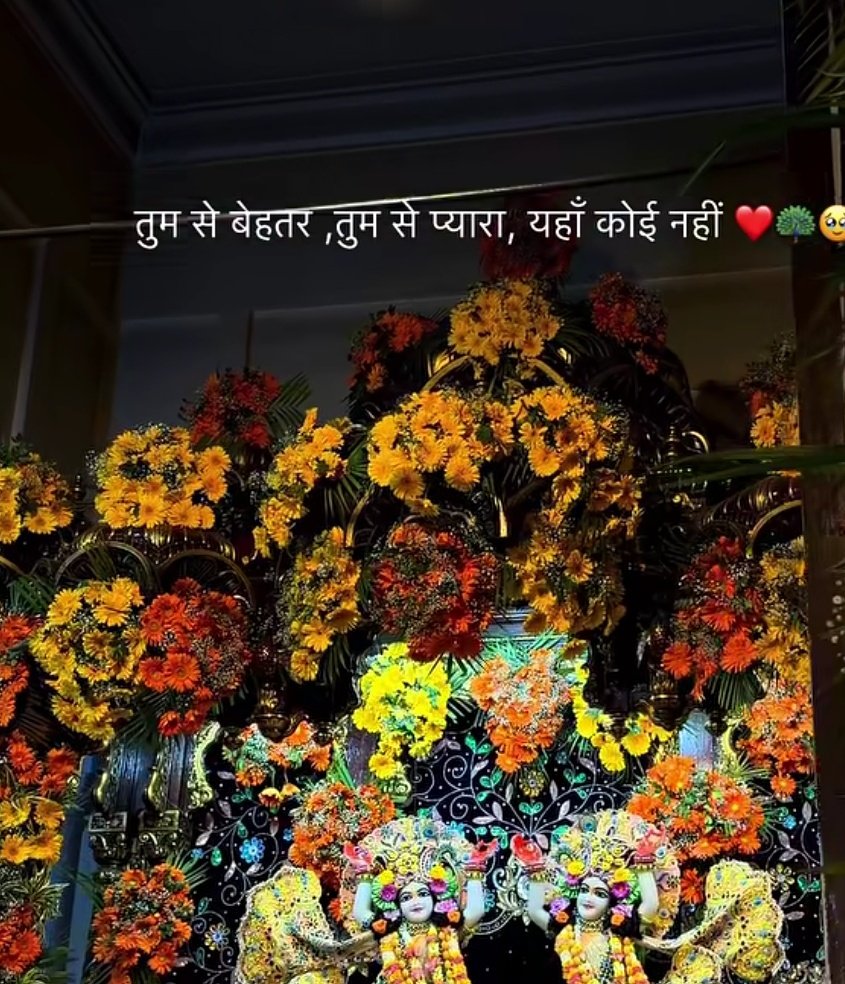 Youvraj Singh yadav tweet media