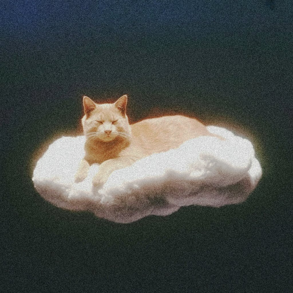 Nifty_Bonanza 🇵🇸❣️ tweet media