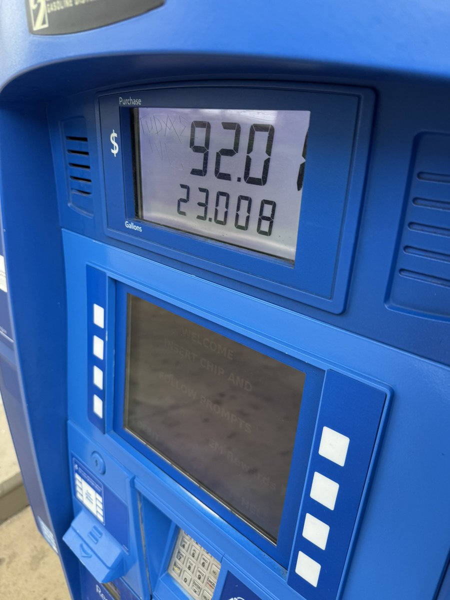 Shaine Targaryen🐉 tweet media