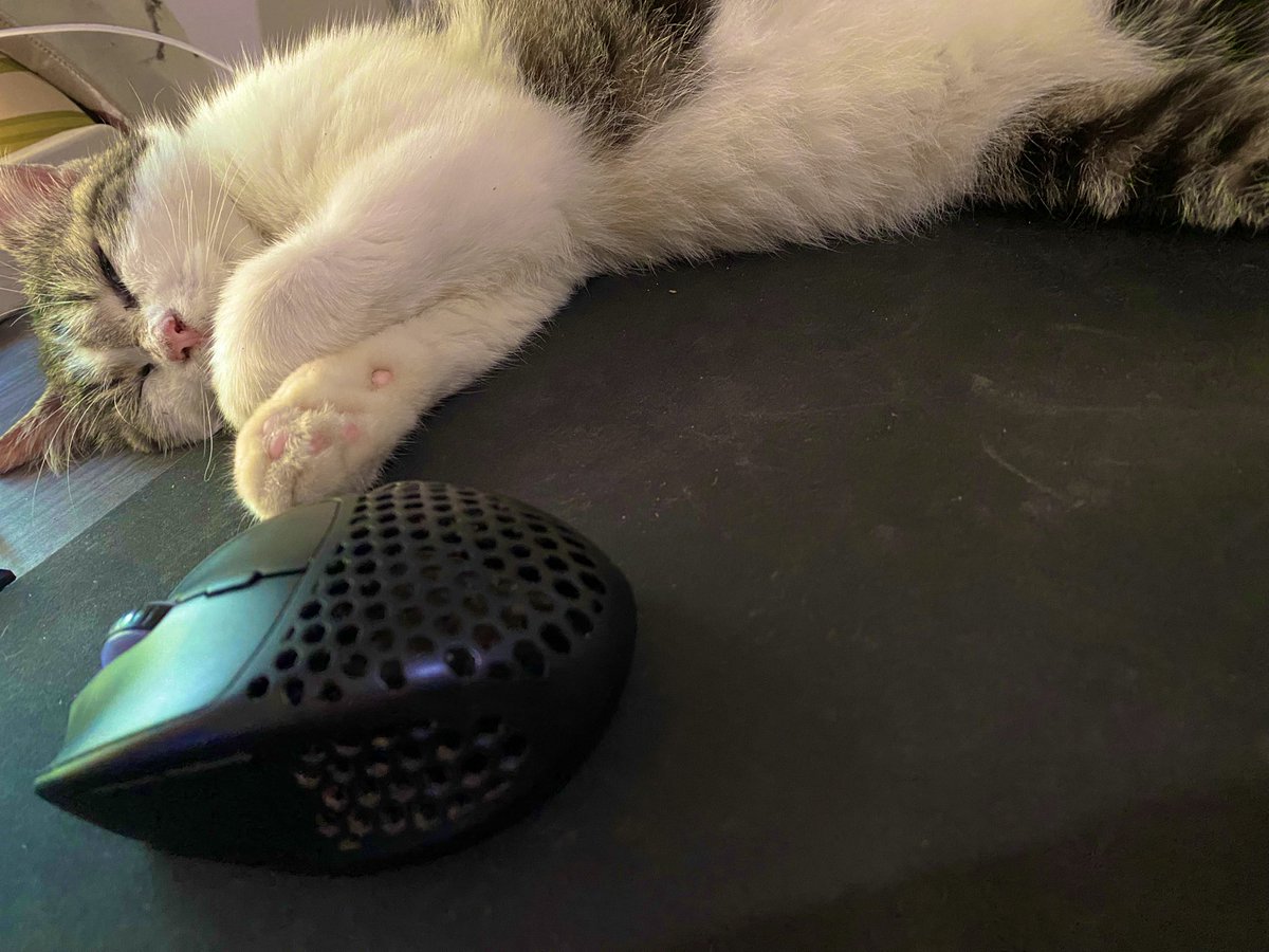 Leo Axenos 🐯『 Re:Memories 』 tweet media