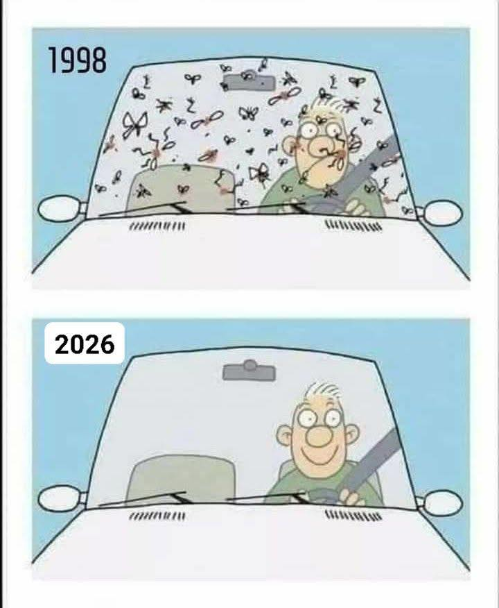 Más Ciencia tweet media