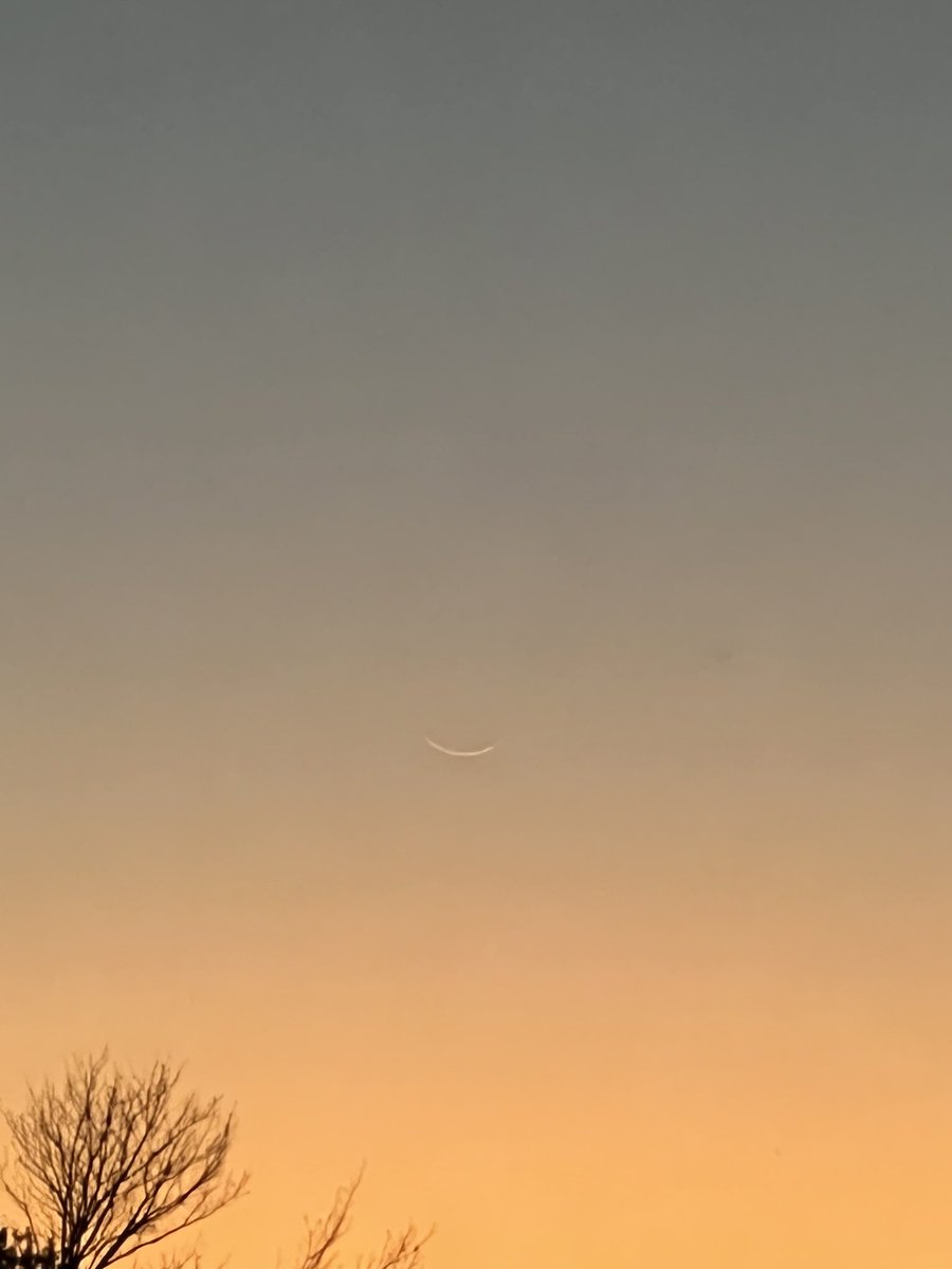 Mini_Tradez tweet media