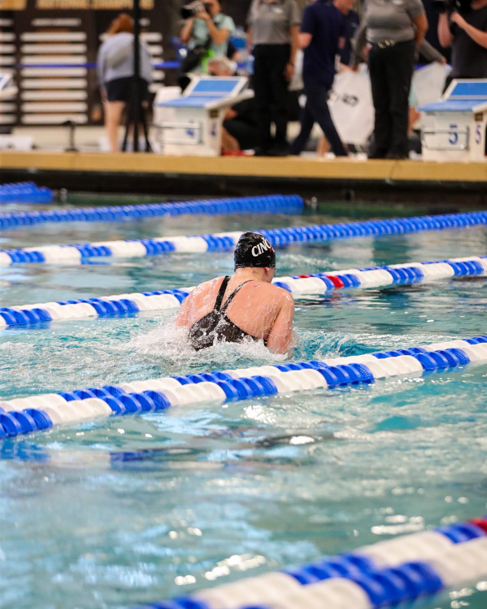 Cincinnati Swim-Dive tweet media
