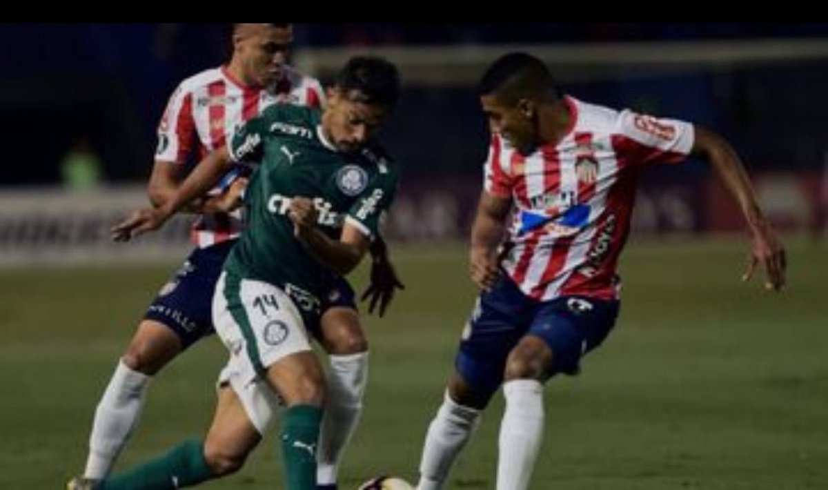 Pasión Tiburona tweet media