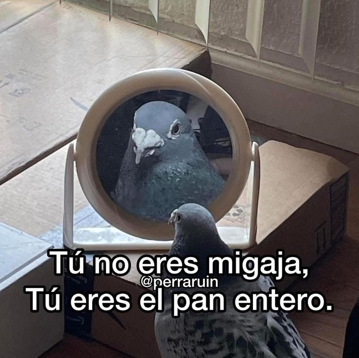 Bloody Mary 🇻🇪 tweet media