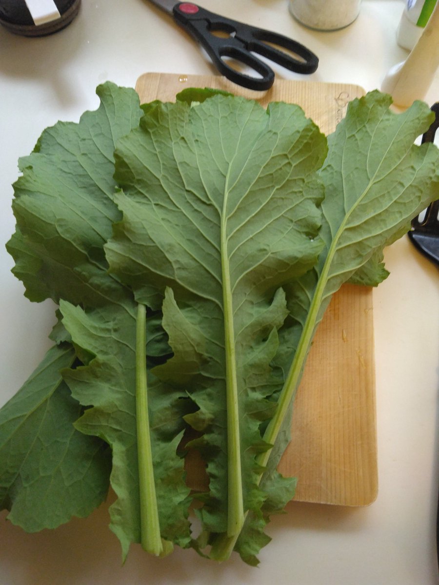 Phillip Jackson tweet media