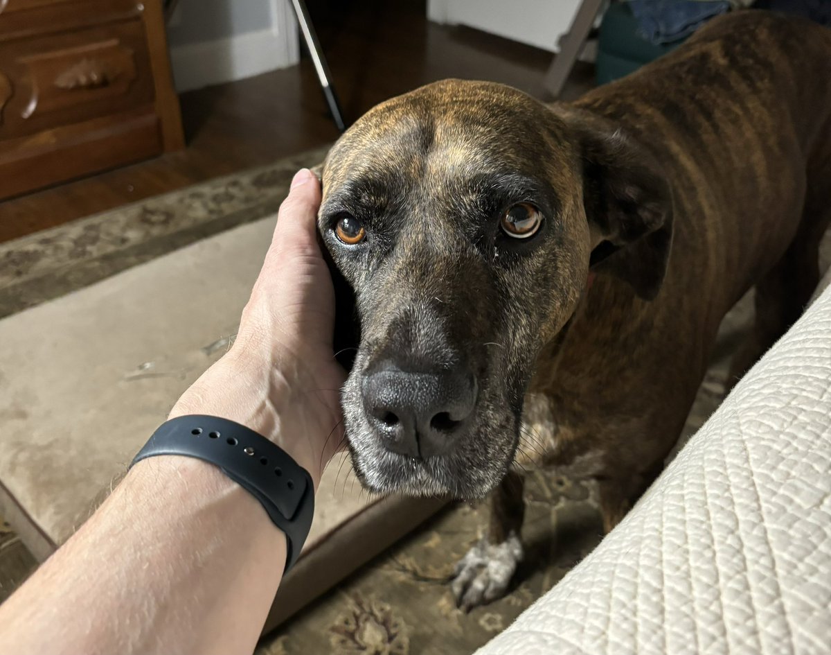 Jon, No H 🇺🇸 tweet media