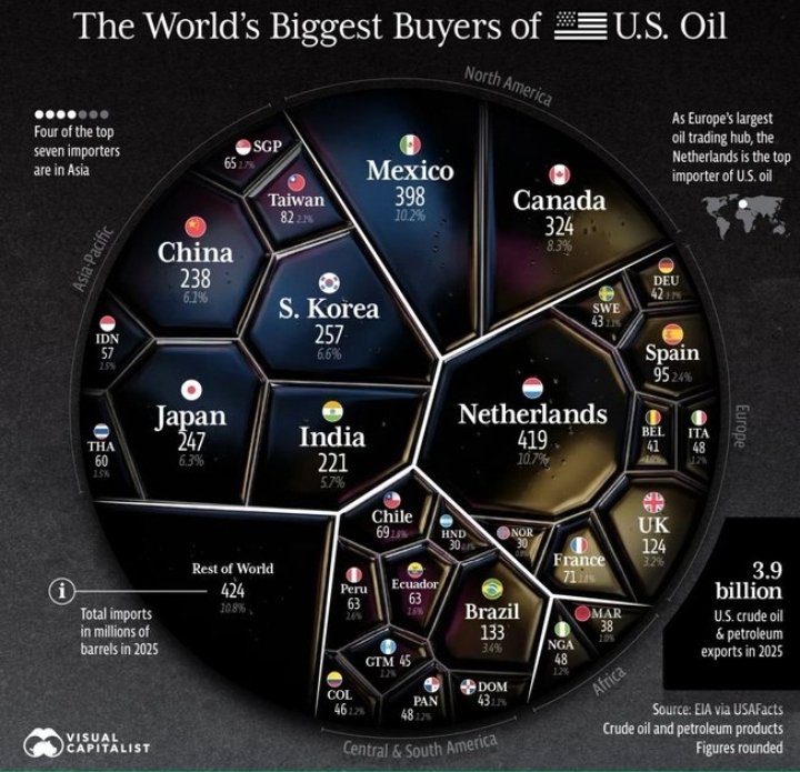 Engger +🌊 tweet media