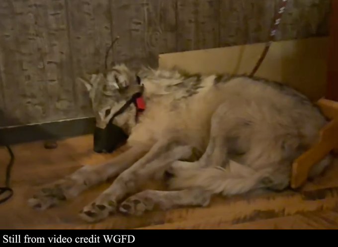 am in umbria tweet media