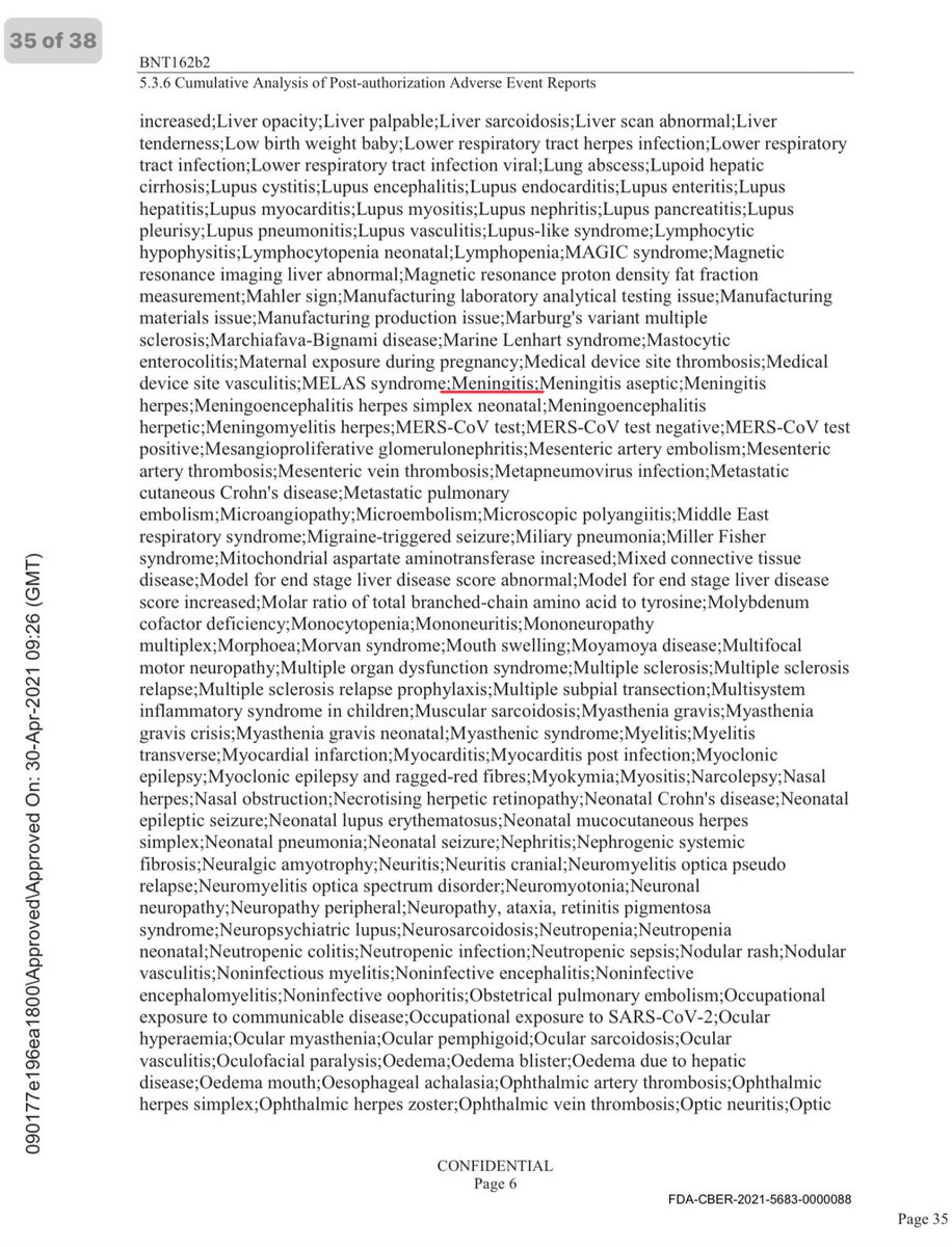 News Punk tweet media