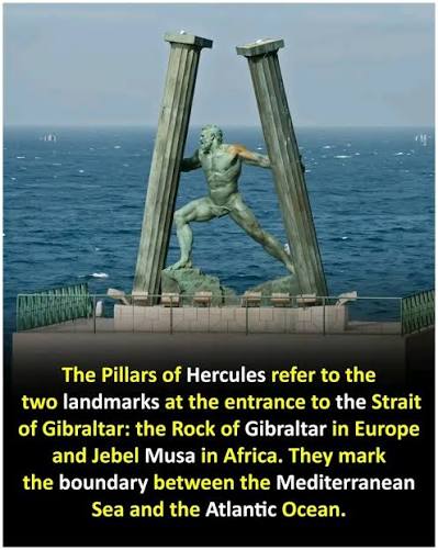 Florida Man - World's Superhero tweet media