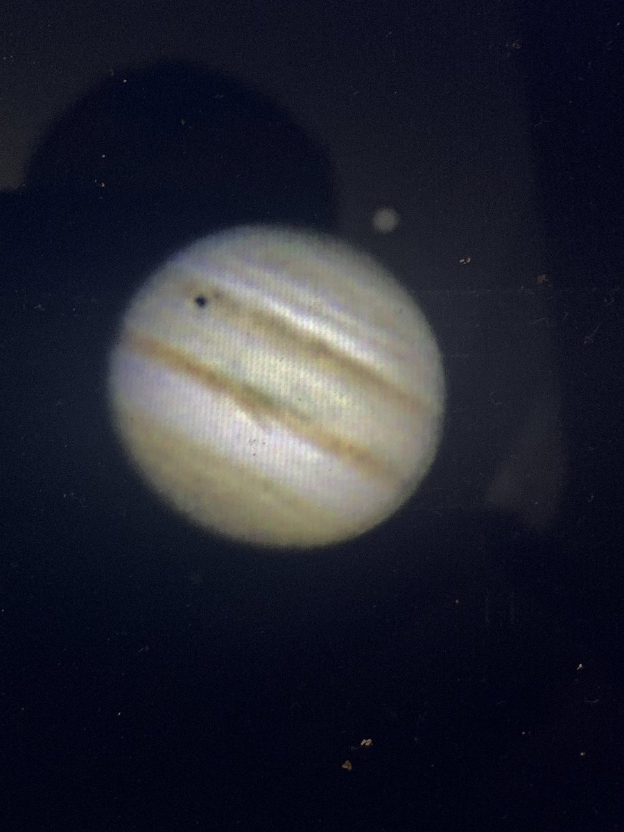 Wolverine 𐤊 tweet media