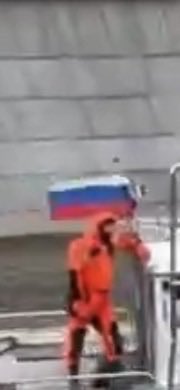 Bailey the Dog tweet media