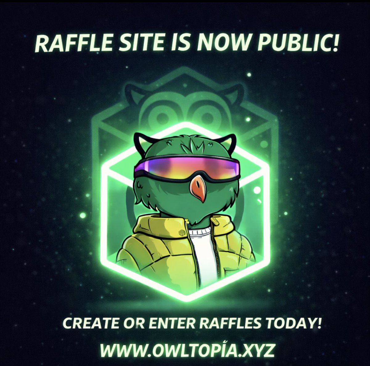 Owltopia tweet media