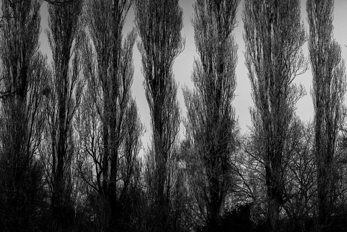 Sashelka♡🖤🩸 tweet media