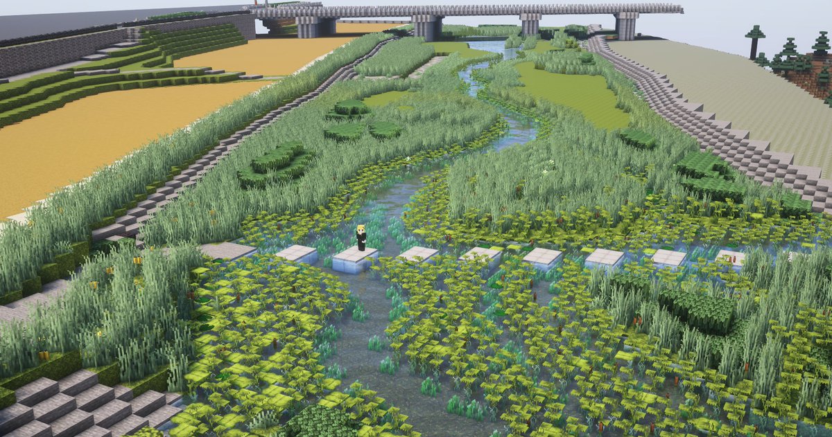 桃世 Momoyo tweet media