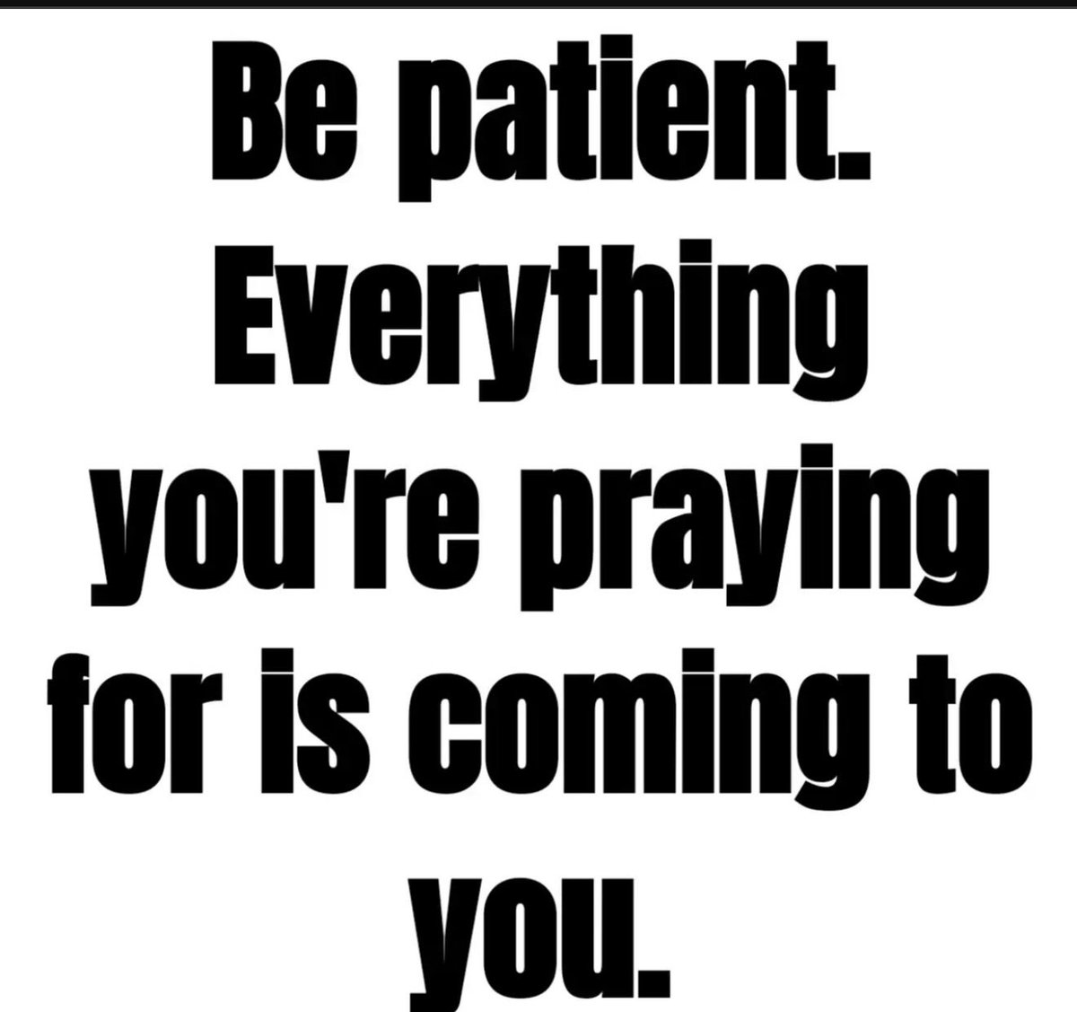 Blossoms🌻 tweet media