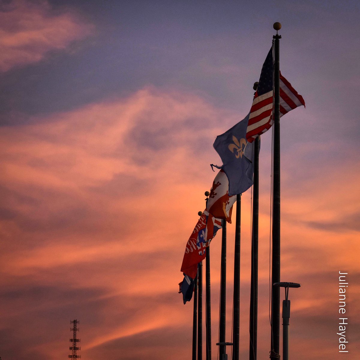 Haydel Consulting tweet media