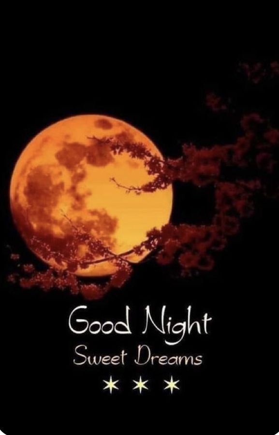 The Honey Badger (Tracy)♒☮🇺🇸 tweet media