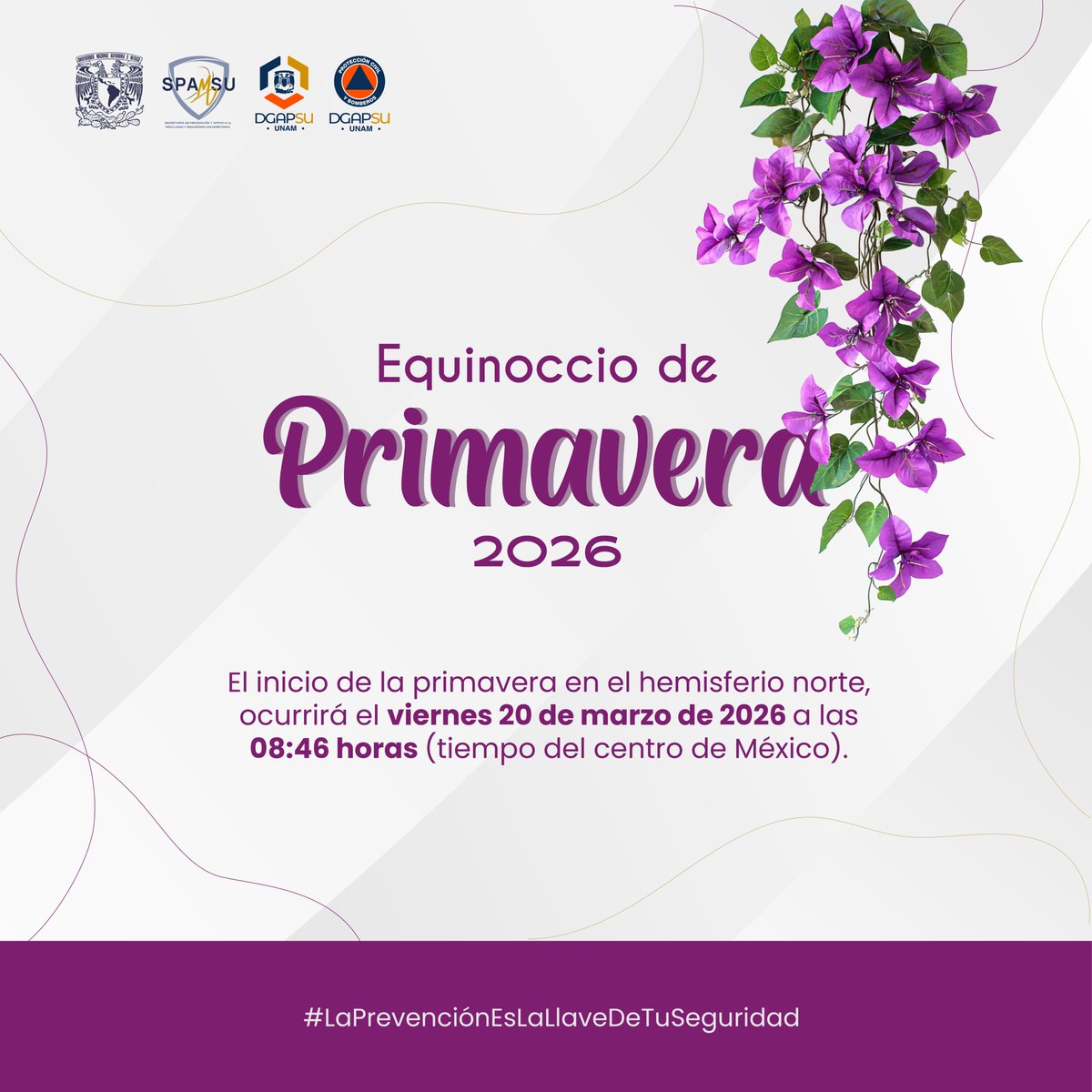 Protección Civil UNAM tweet media