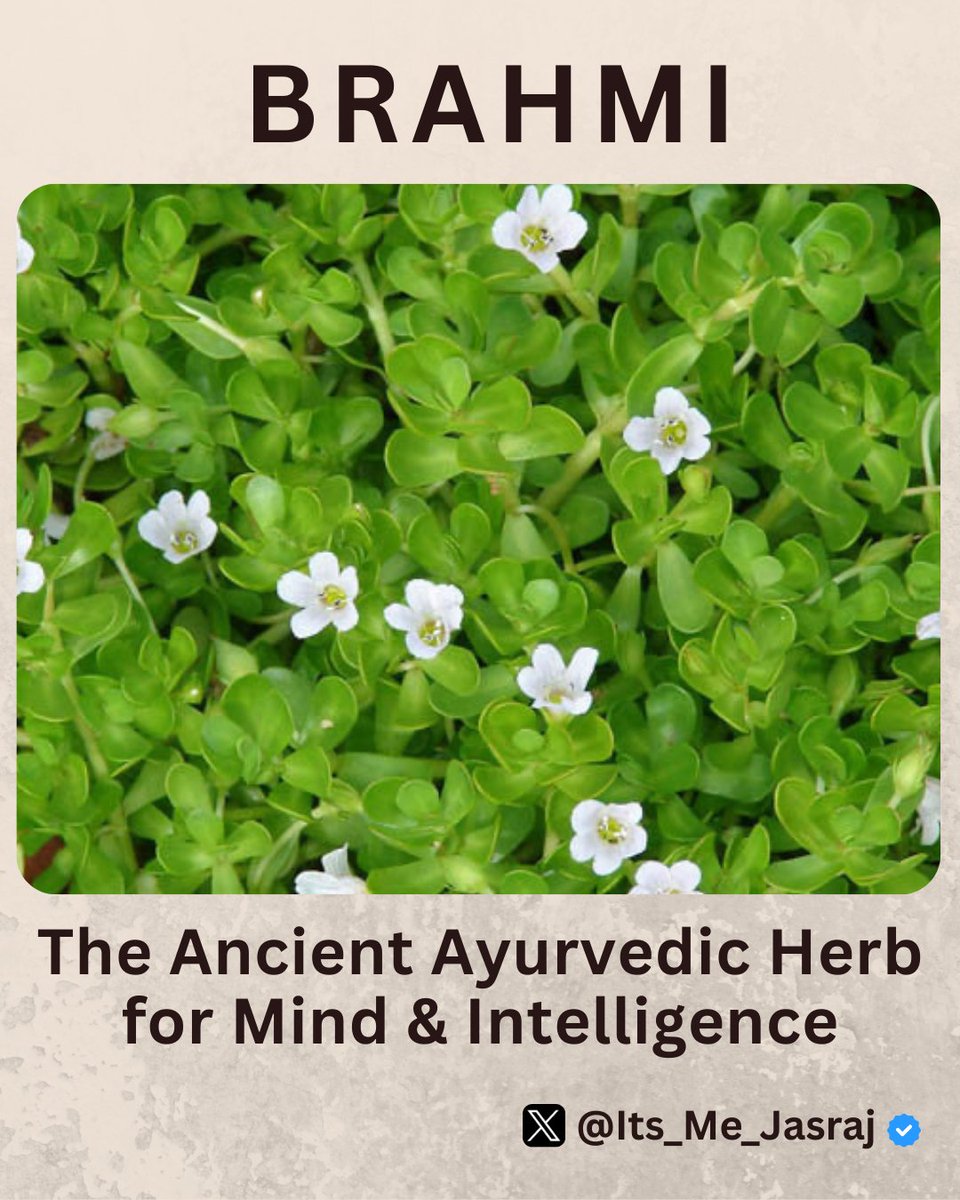 𝗗𝗿.𝗝𝗮𝘀𝗿𝗮𝗷 𝗣𝗿𝗮𝗷𝗮𝗽𝗮𝘁𝗶 tweet media