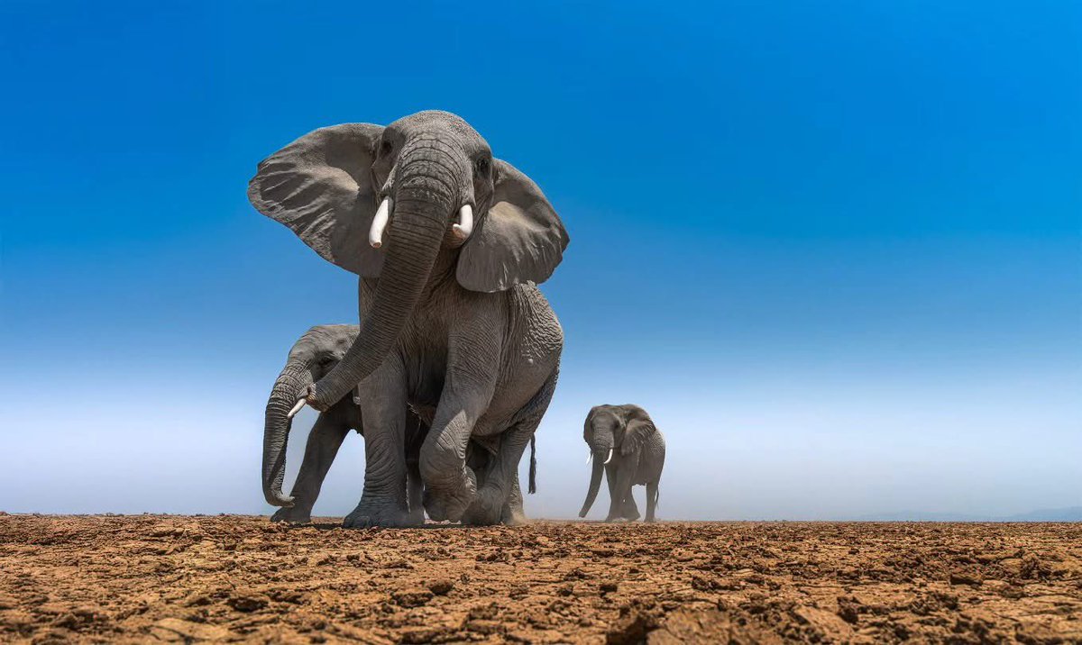 Lorena Hurtado tweet media