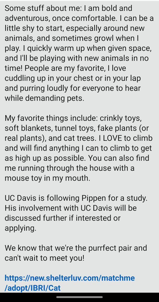 Itsie Bitsie Rescue tweet media