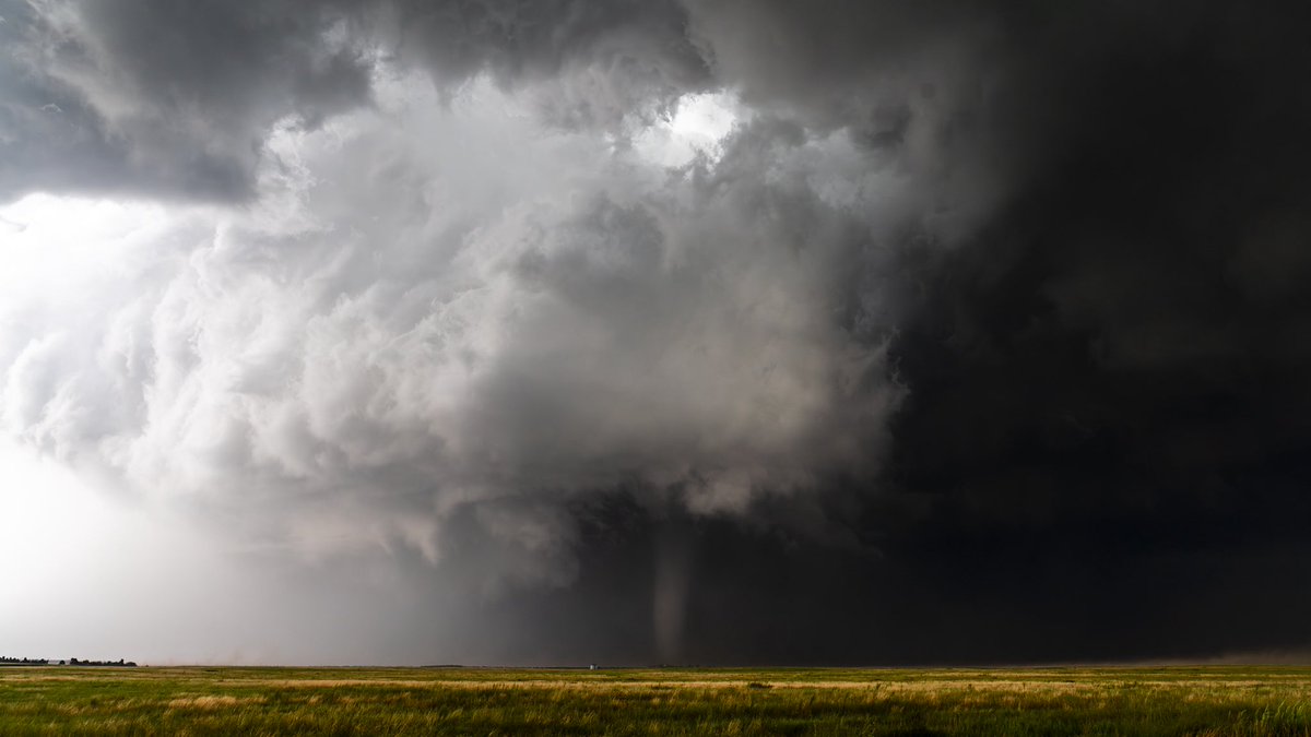 Jakob McMillin tweet media