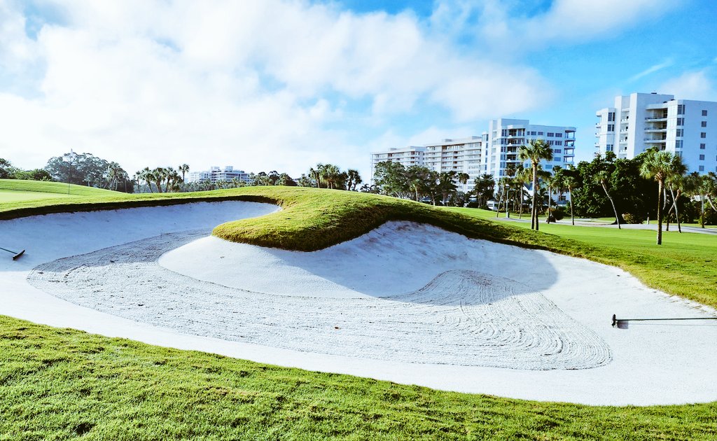 john reilly tweet media