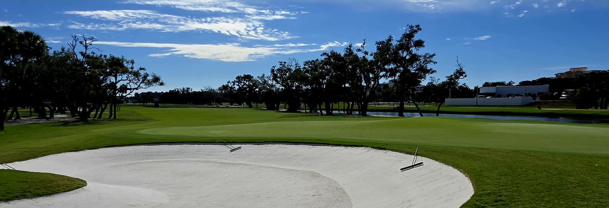 john reilly tweet media