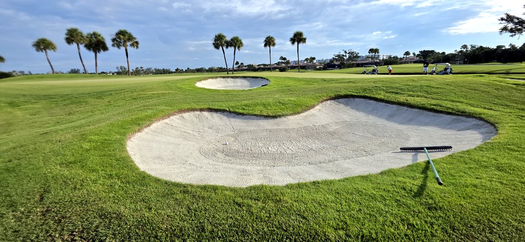 john reilly tweet media