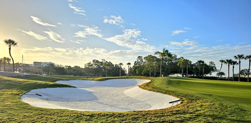 john reilly tweet media