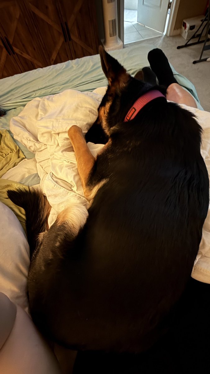 P h i l m i n a t o r tweet media