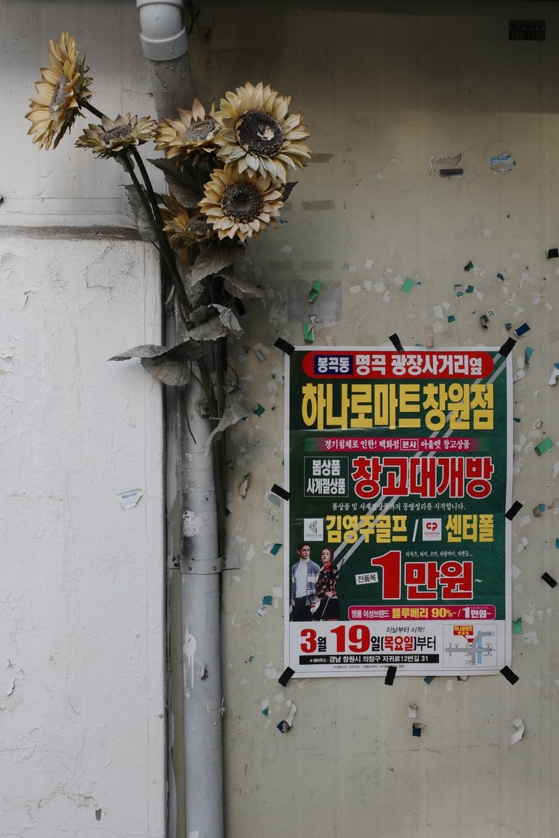 감별RuleOut tweet media