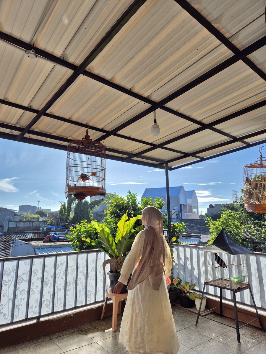 freedomforicom!! tweet media