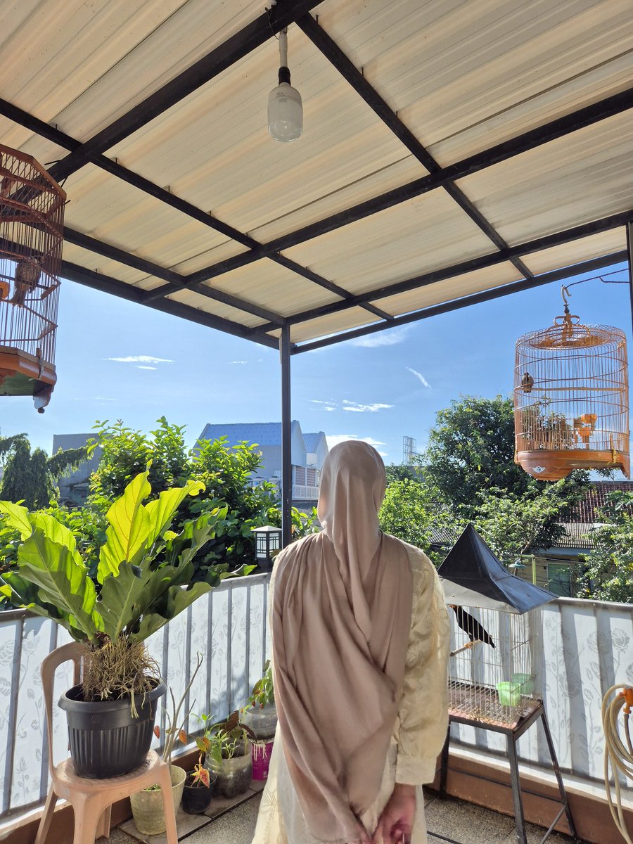 freedomforicom!! tweet media