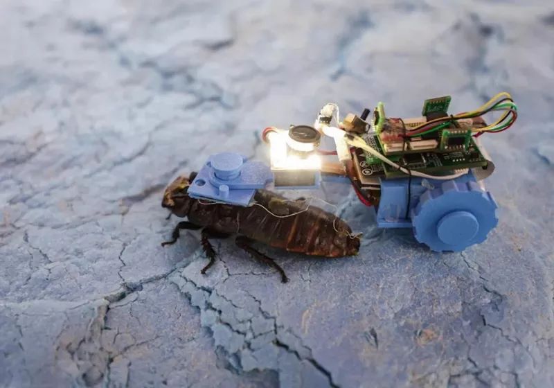 TechSpot tweet media