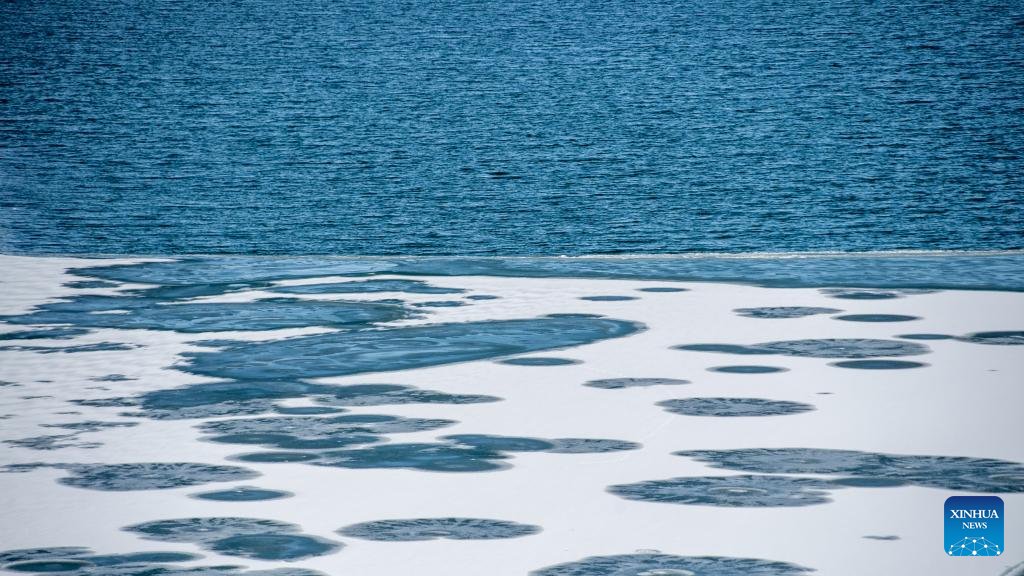 People'sDailyOnline Australia tweet media