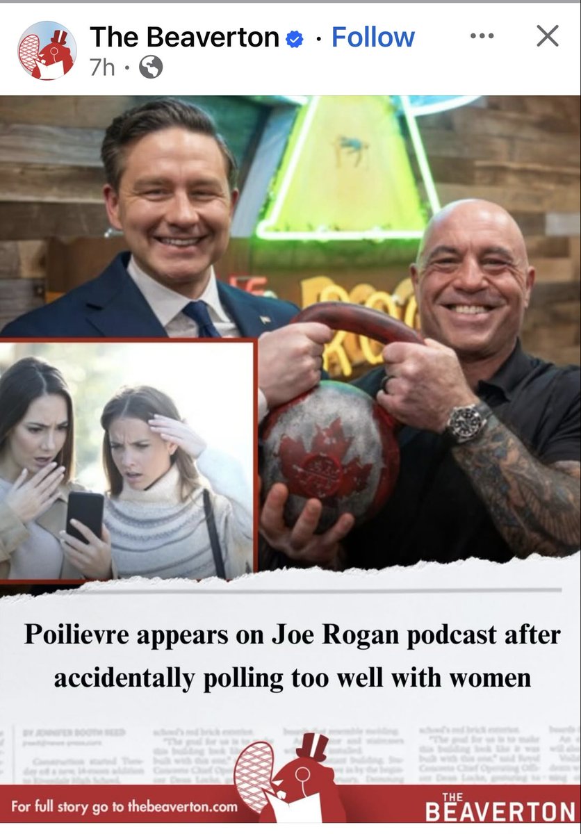 liberalsupporter tweet media