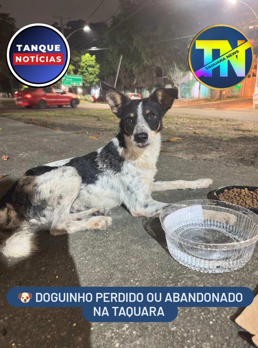 Taquara News tweet media