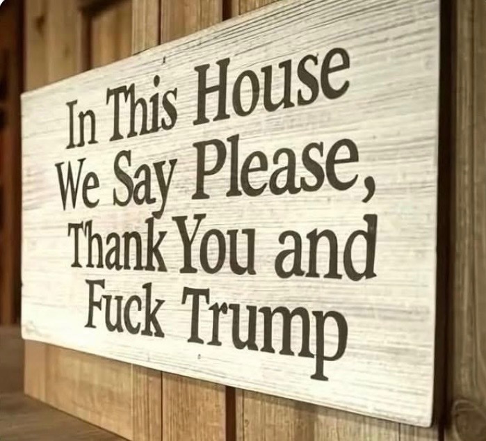 Heidi 🏖 🐬💙🍹🌊 tweet media