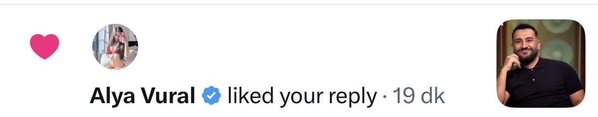 hAMburgerYiyenküçükBit tweet media